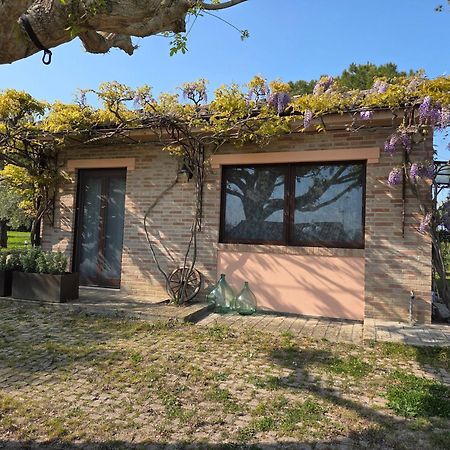 Apartamento Casa Sabbatini SantʼElpidio a Mare Exterior foto