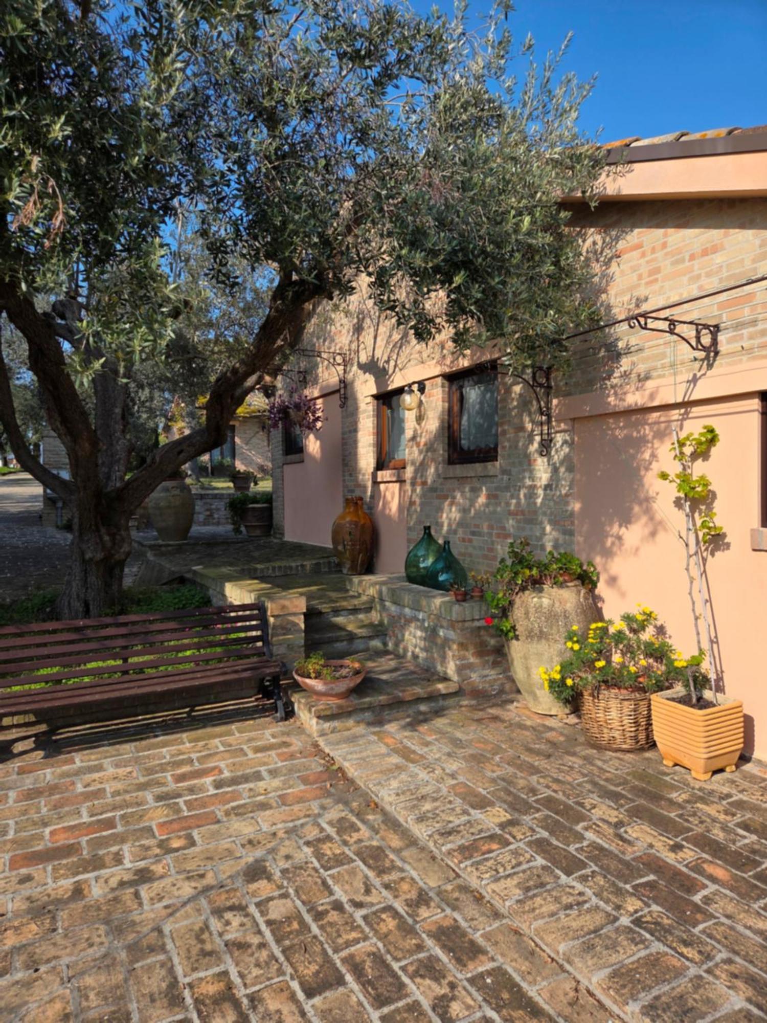 Apartamento Casa Sabbatini SantʼElpidio a Mare Exterior foto