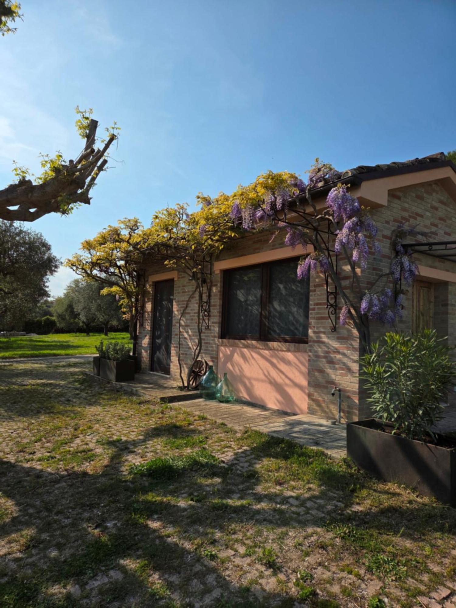 Apartamento Casa Sabbatini SantʼElpidio a Mare Exterior foto